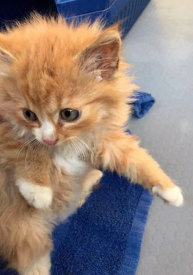 11b2dac6-315c-4da5-b6ff-f942dcf4a88c