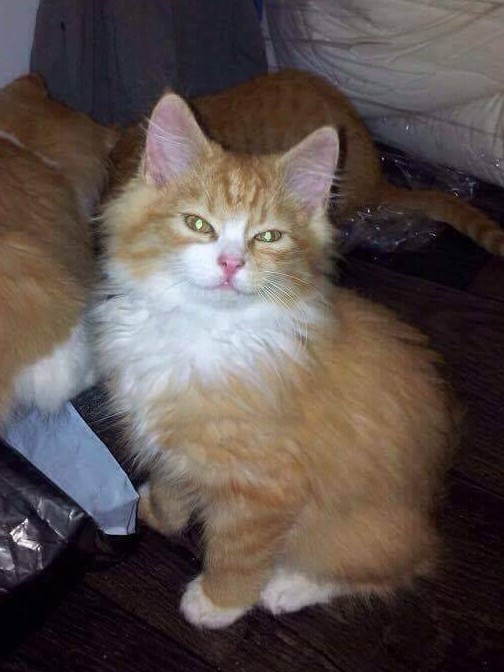 52e710c7-001d-4c61-a7bd-8af1caddc0a0