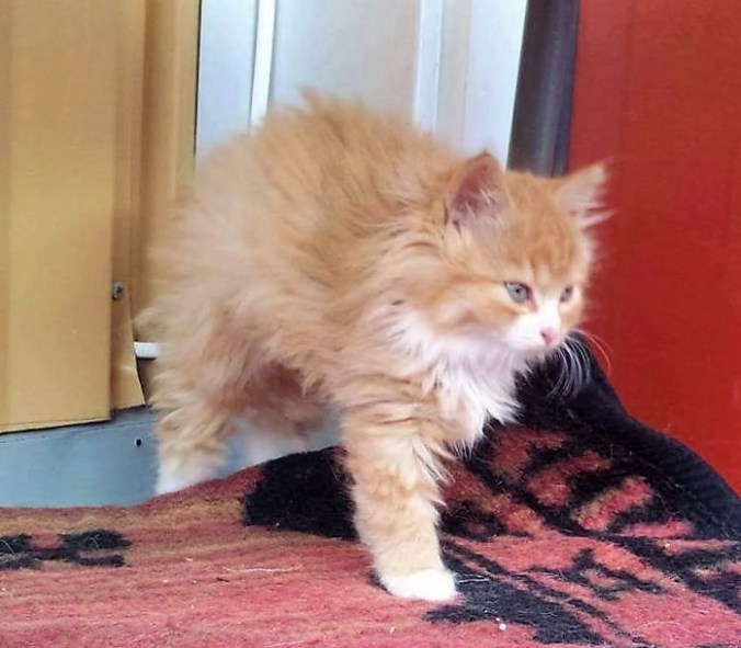 8b584615-e897-41b5-9e15-f07a578d33fa