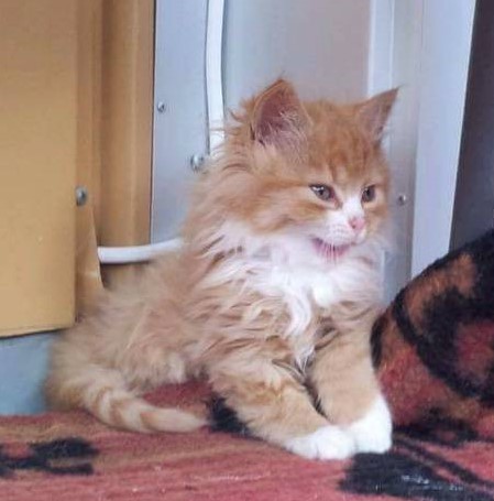 b4009cb8-a55f-491b-af96-b9026fe331c8